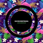 cover: Davide Mentesana - Love Groove EP