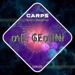 cover: Mr. Gemini - Relict Radiation