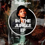 cover: Blaqrhythm - In The Jungle