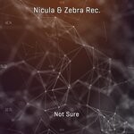 cover: Nicula|Zebra Rec. - Not Sure