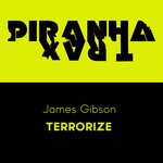 cover: James Gibson - Terrorize