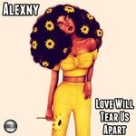 cover: Alexny - Love Will Tear Us Apart