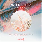 cover: Various - Winter Sun 04