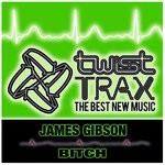 cover: James Gibson - Bitch