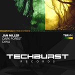 cover: Jan Miller - Dark Forest/Diwu