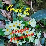 cover: Crash B. - Simple Pleasures (1)