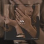 cover: Dndm - Never