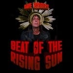 cover: Dave Rodgers - Beat Of The Rising Sun (2020)