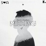 cover: Shiv Jee Chaudhary - Missing (Instrumental Version)