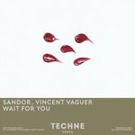 cover: Sandor|Vincent Vaguer - Wait For You (Extended Mix)