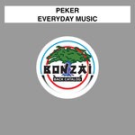 cover: Peker - Everyday Music