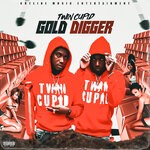 cover: Twin Cupid - Gold Digger (Explicit)