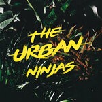 cover: Teddy Chilla - The Urban Ninjas