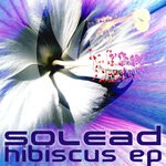 cover: Solead - Hibiscus