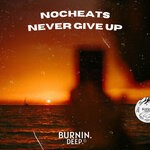 cover: Nocheats - Never Give Up