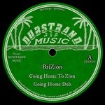 cover: Brizion - Going Home To Zion