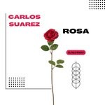 cover: Carlos Suarez - Rosa