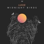 cover: Luxiie - Midnight Birds