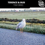 cover: Terence & Bud - Tiny Bird