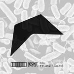 cover: Pelaez - Awake