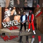 cover: Loose Cannon - Bumper Work