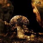 cover: Yopo (ch) - Muddy Path