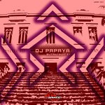 cover: Dj Papaya - Butantroit