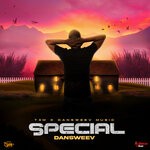 cover: Dansweev - Special