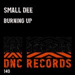 cover: Small Dee - Burning Up (Original Mix)