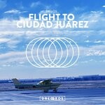 cover: Taelos - Flight To Ciudad Juarez