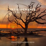 cover: Tastexperience - Driftwood (Francesco Sambero Extended Remix)