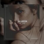 cover: Tim Larrson - Desire