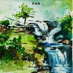 cover: P A N - Moonlight Ark