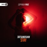 cover: Tatsunoshin - Stay (Extended Mix)