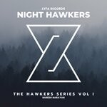 cover: Naresh Narayan - Night Hawkers