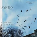 cover: Syrinx - Murmurations