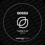 cover: Gosso - There It Is