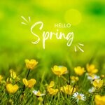 cover: Yuri Folt - Hello Spring