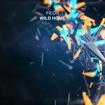 cover: Filor - Wild Home