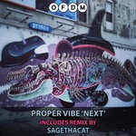 cover: Proper Vibe - Next