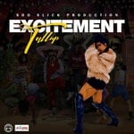 cover: Tallup - Excitement