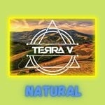 cover: Terra V. - Natural (Extended Mix)