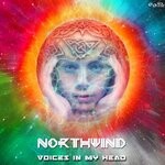 cover: Northwind - Voices In My Head