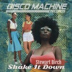 cover: Stewart Birch - Shake It Down