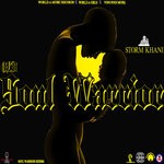 cover: Storm Khani - Old Soul Warrior