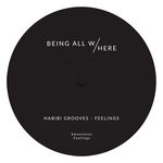 cover: Habibi Grooves - Feelings