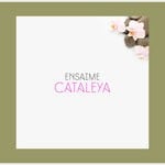 cover: Ensaime - Cataleya