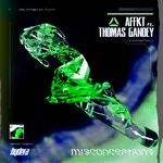 cover: Affkt|Thomas Gandey - Misconceptions