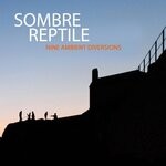 cover: Sombre Reptile - Nine Ambient Diversions