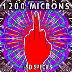 cover: 1200 Microns - LSD Species